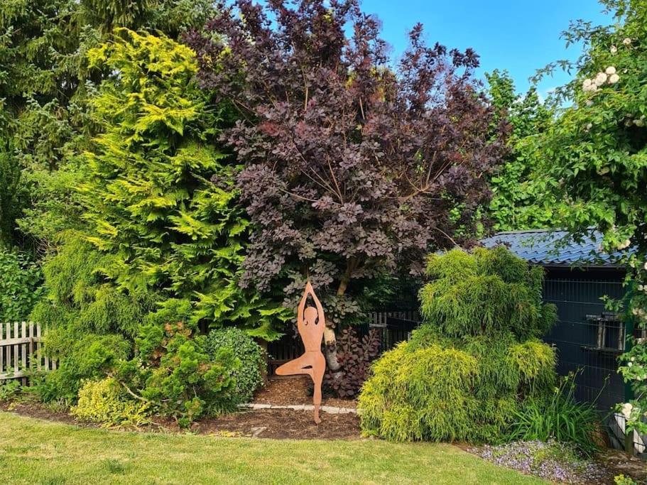 Ferienhaus Distelfink Entspannen In Der Mitte Von Deutschland Gudensberg エクステリア 写真