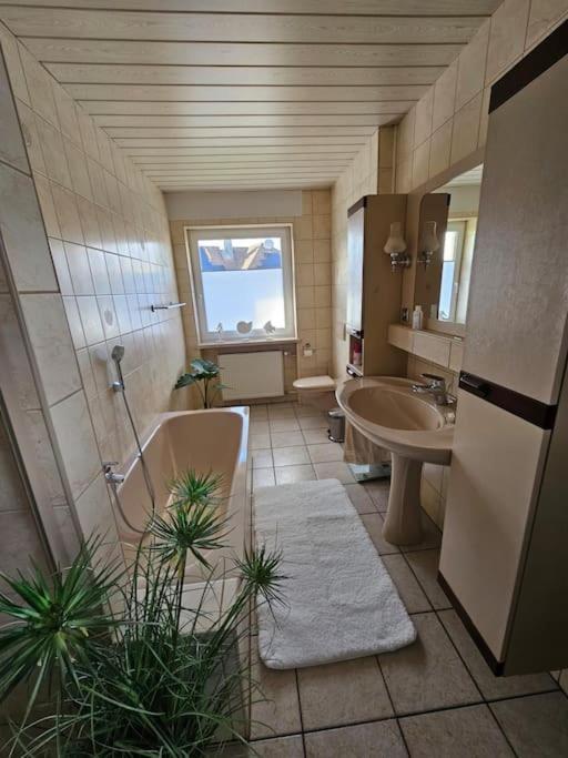 Ferienhaus Distelfink Entspannen In Der Mitte Von Deutschland Gudensberg エクステリア 写真