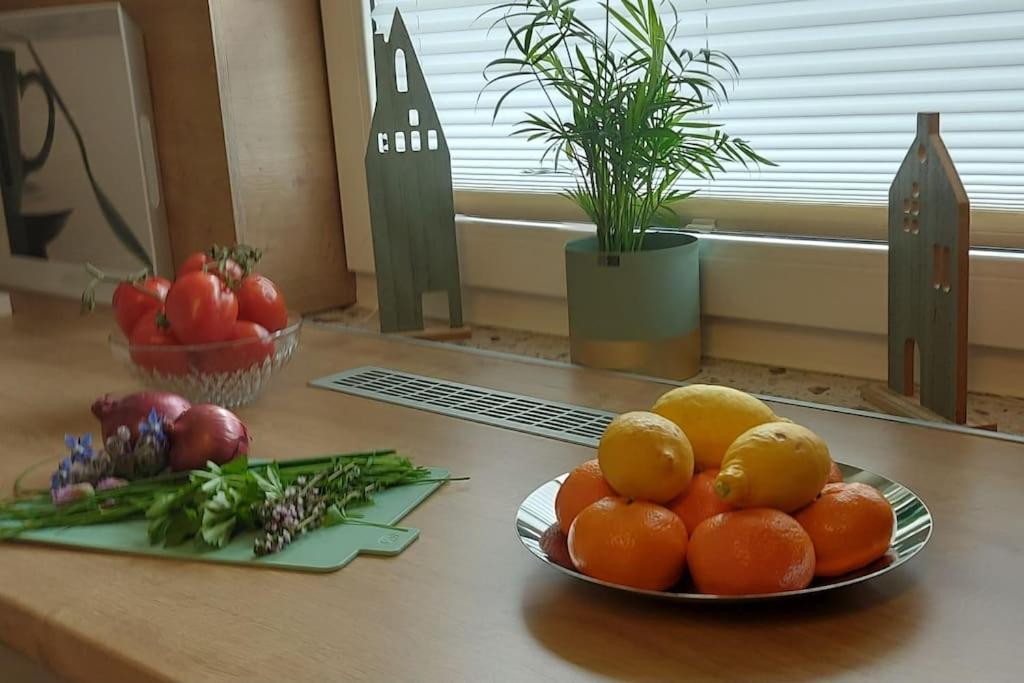 Ferienhaus Distelfink Entspannen In Der Mitte Von Deutschland Gudensberg エクステリア 写真